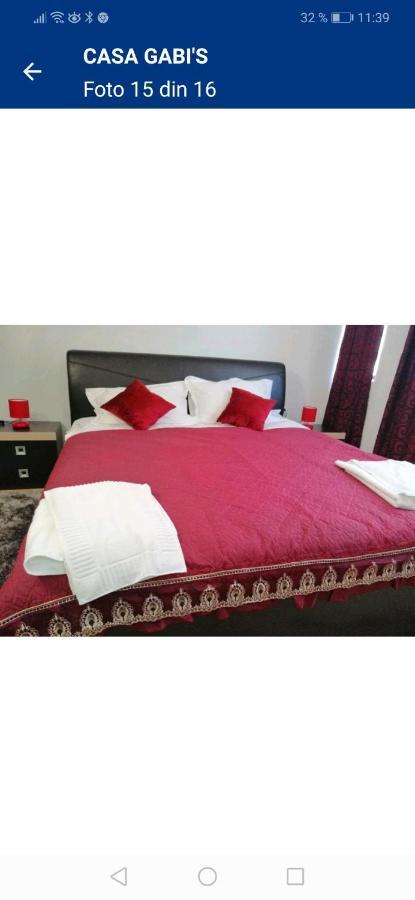 Casa Gabi'S Hotel Orsova Luaran gambar